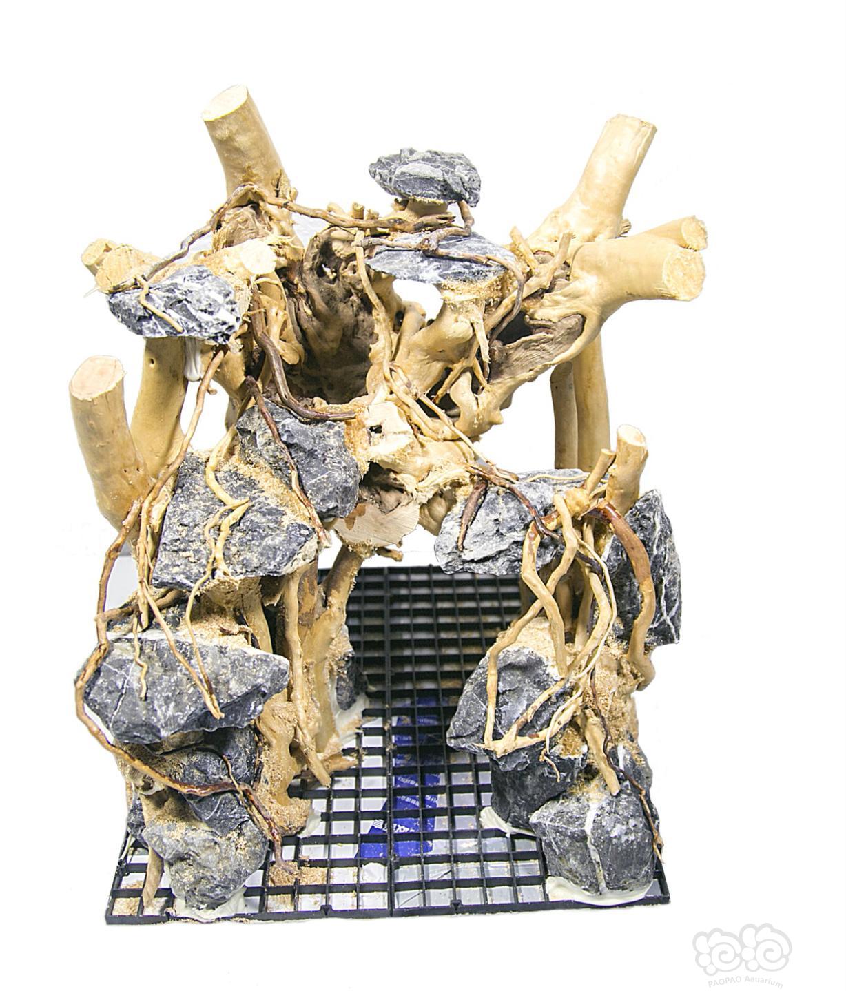【出售】现货鱼缸草缸杜鹃根珊瑚沉木青龙石整体骨架造景定做-图3