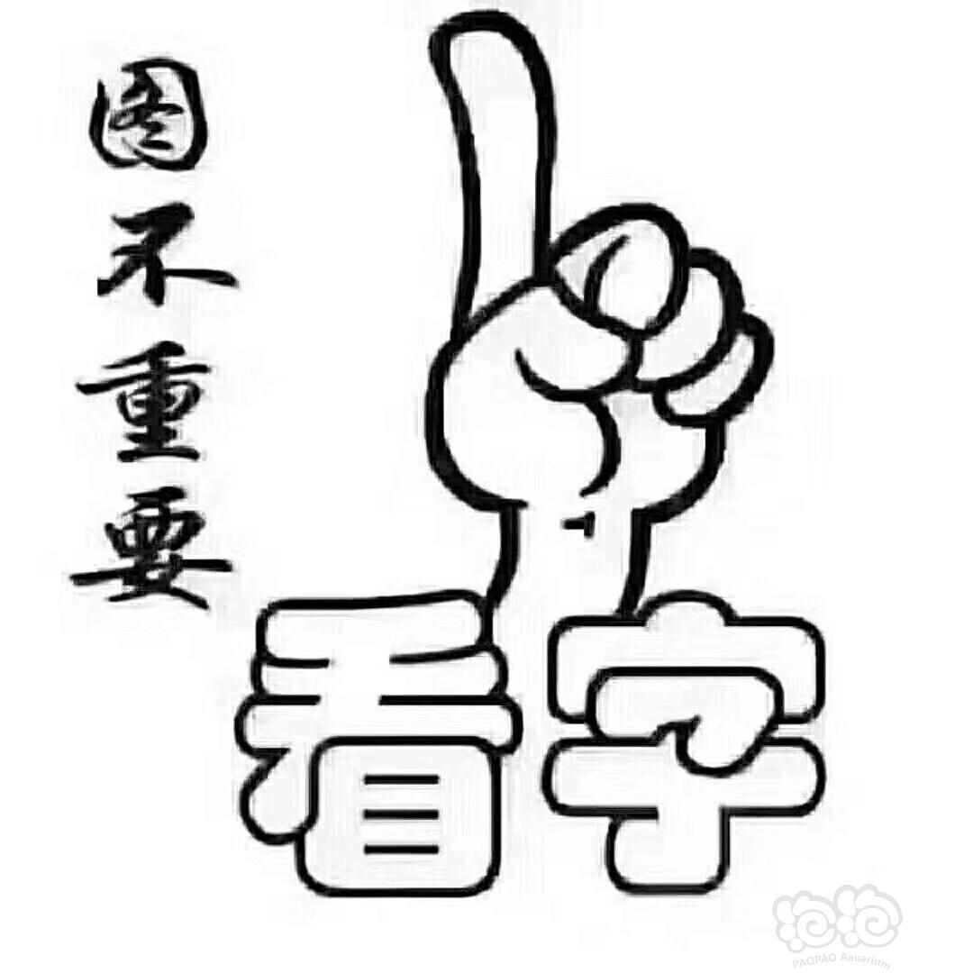 必须换辆车回家才有面子