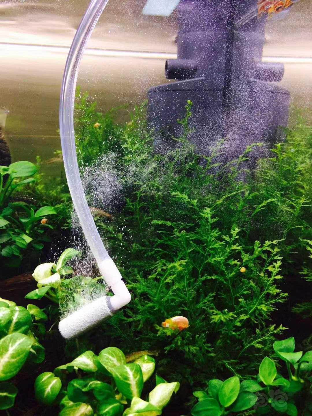 手工制作简易二氧化碳细化器头