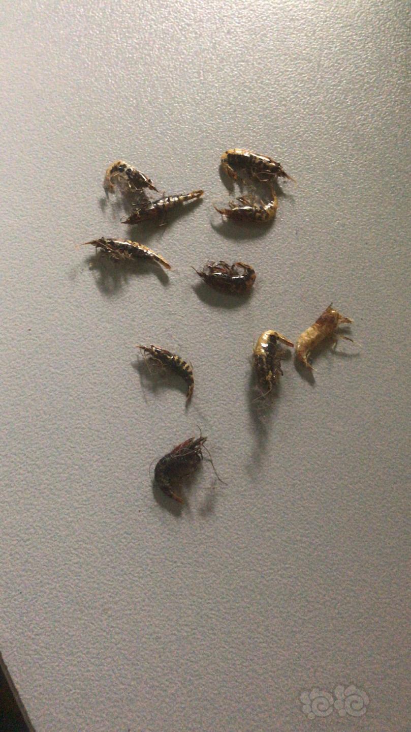 听过狼牙山五壮士我看过八女投江今日亲身体会十种