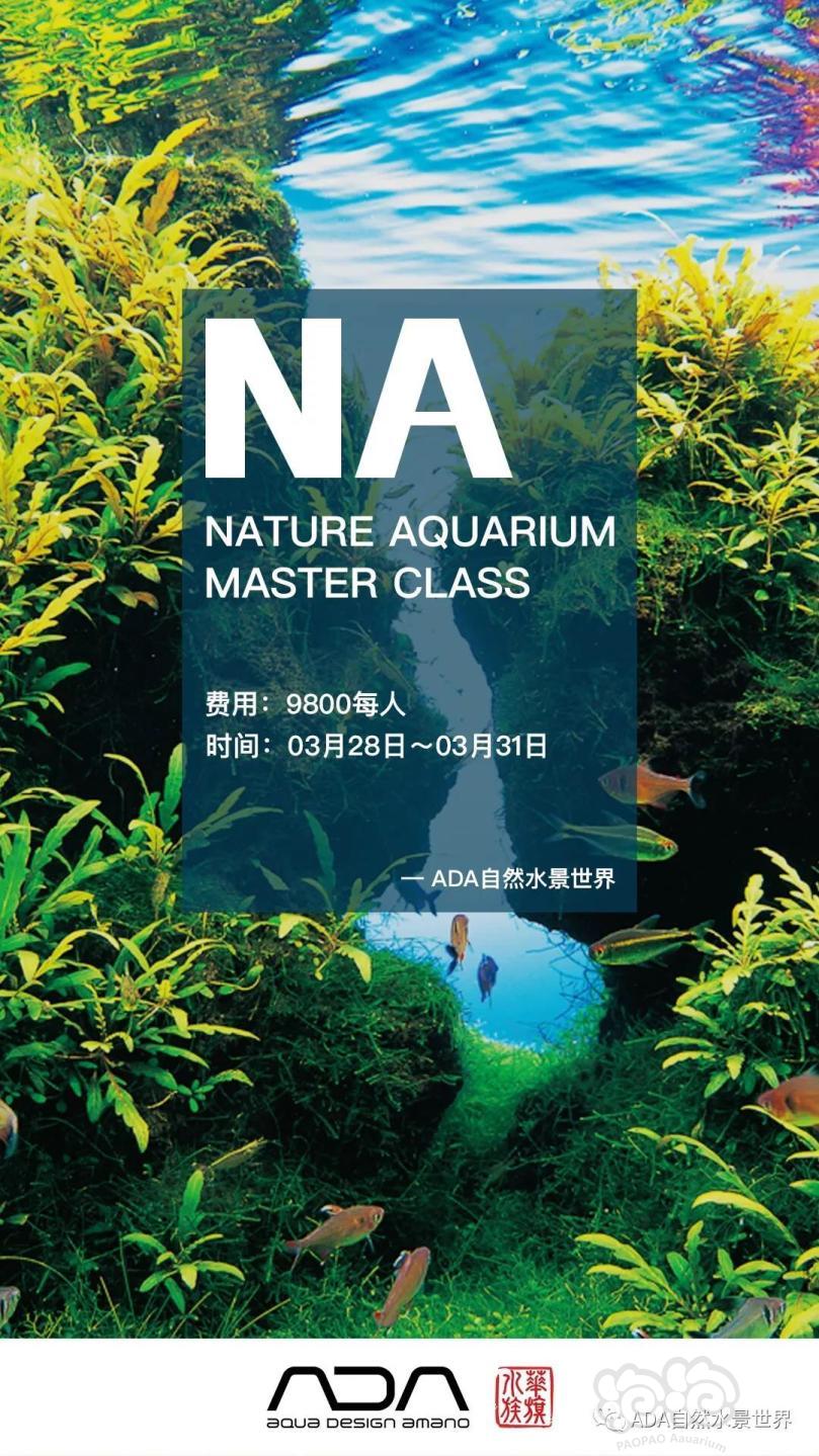 ADA NA自然水族风格造景课程第2期开始报名-图1
