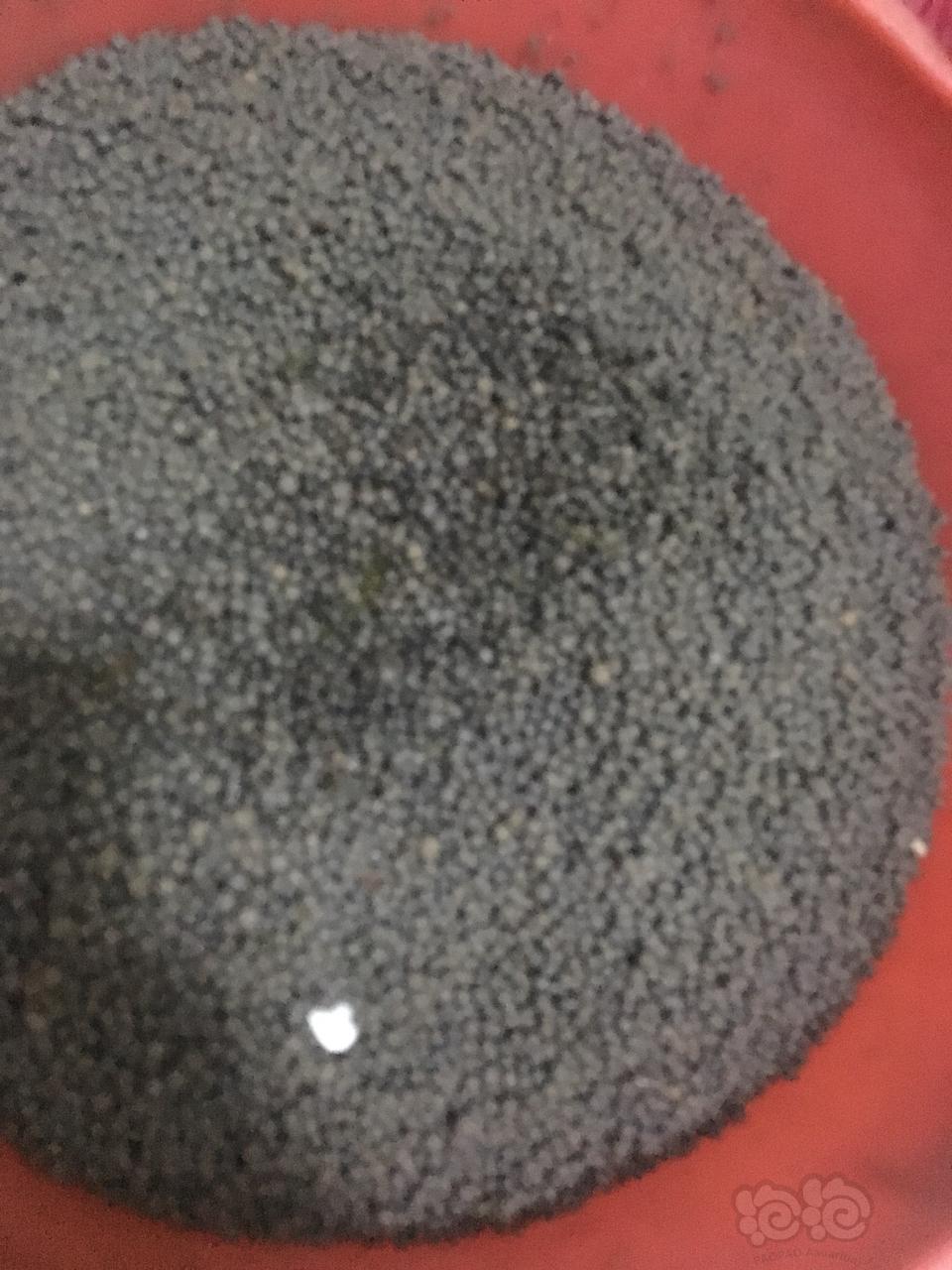 【底砂】熟陶粒。使用1年多-图2