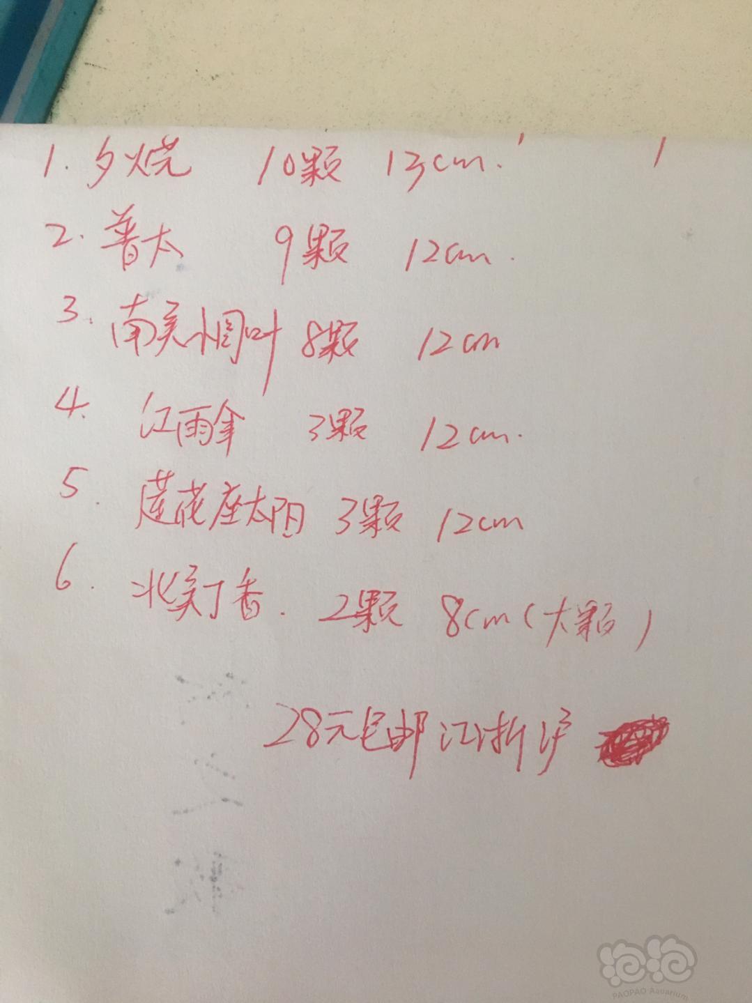 江浙沪28元包邮出水草，其他地区补运费-图1