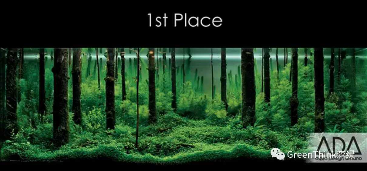 【沉木】树林景素材-图2