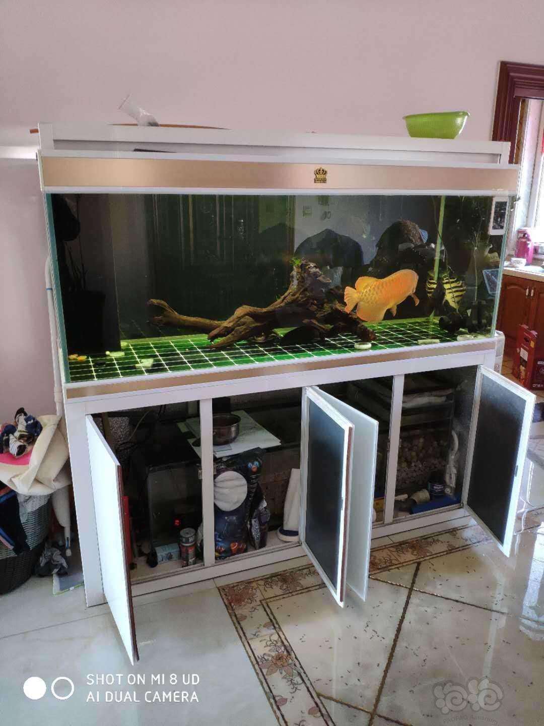 【鱼缸】出售1.8米龙缸-图3