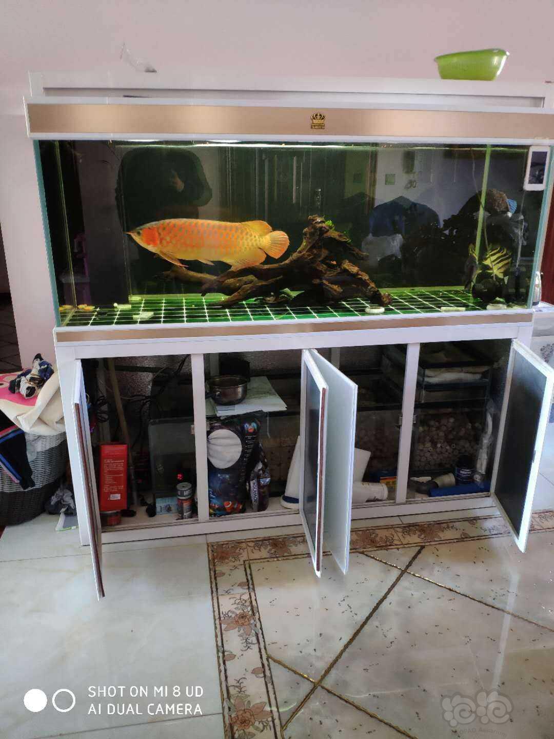 【鱼缸】出售1.8米龙缸-图2