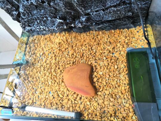 【底砂】黄腊石碎粒 底沙 造景 天然水冲 圆滑 需要的戳进来-图1