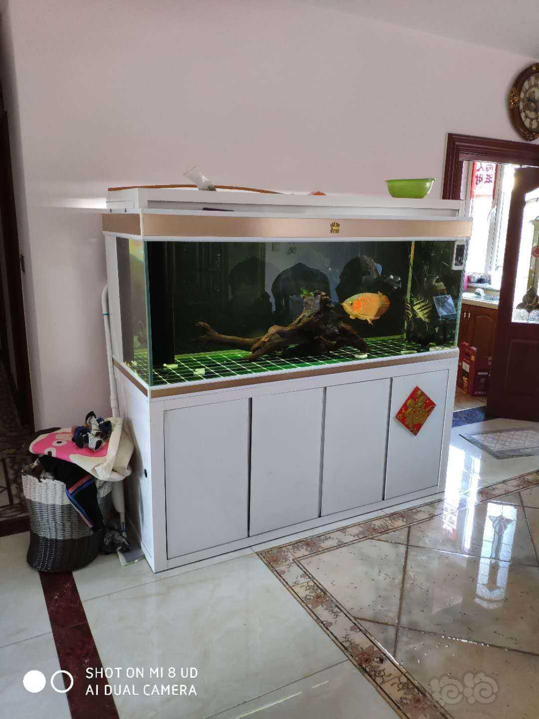 【鱼缸】出售1.8米龙缸-图1