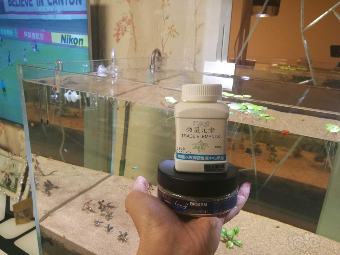 出售翠湖微量元素粉，用过几次，基本满瓶，再加贝因美贴片鱼食一盒!-图1