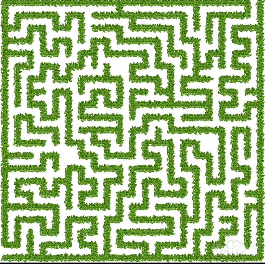 出好纹路迷宫一个𓆟-图1