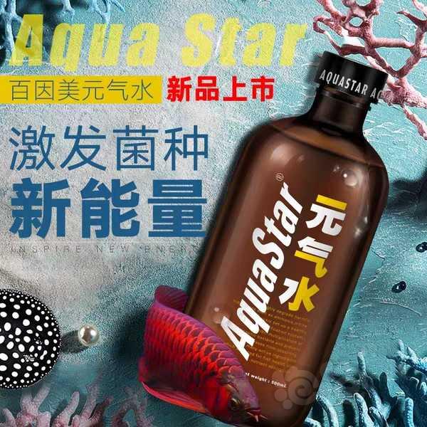 【用品】2019-05-27#RMB拍卖新品百因美元气水（联合硝化细菌）-图1
