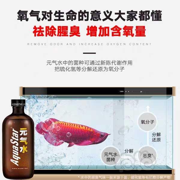 【用品】2019-05-27#RMB拍卖新品百因美元气水（联合硝化细菌）-图4