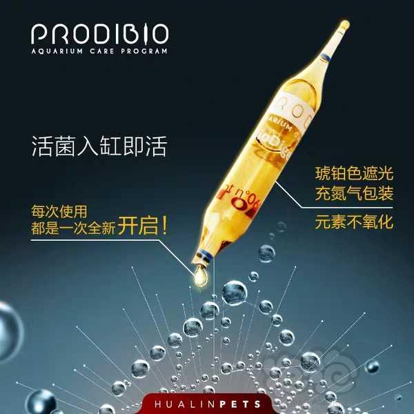 【用品】2019-05-27#RMB拍卖17款科迪硝化细菌1盒（30支）-图1