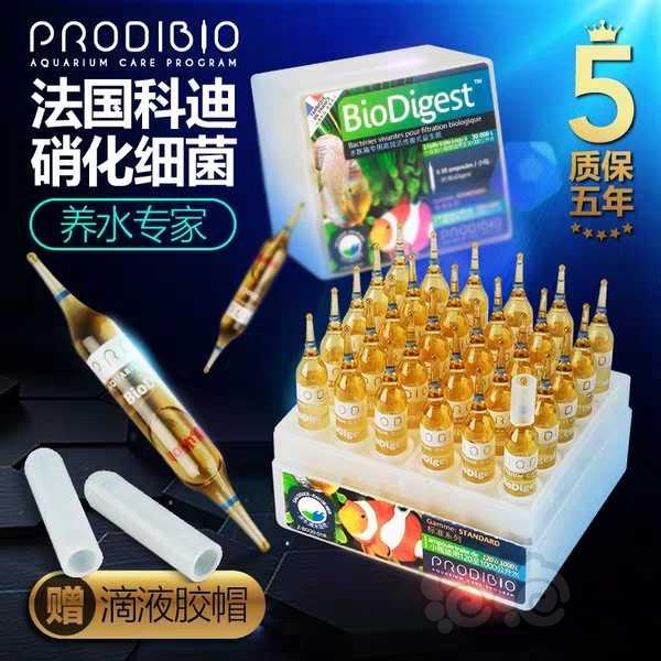 【用品】2019-05-30#RMB拍卖17款科迪活性硝化细菌1盒-图1