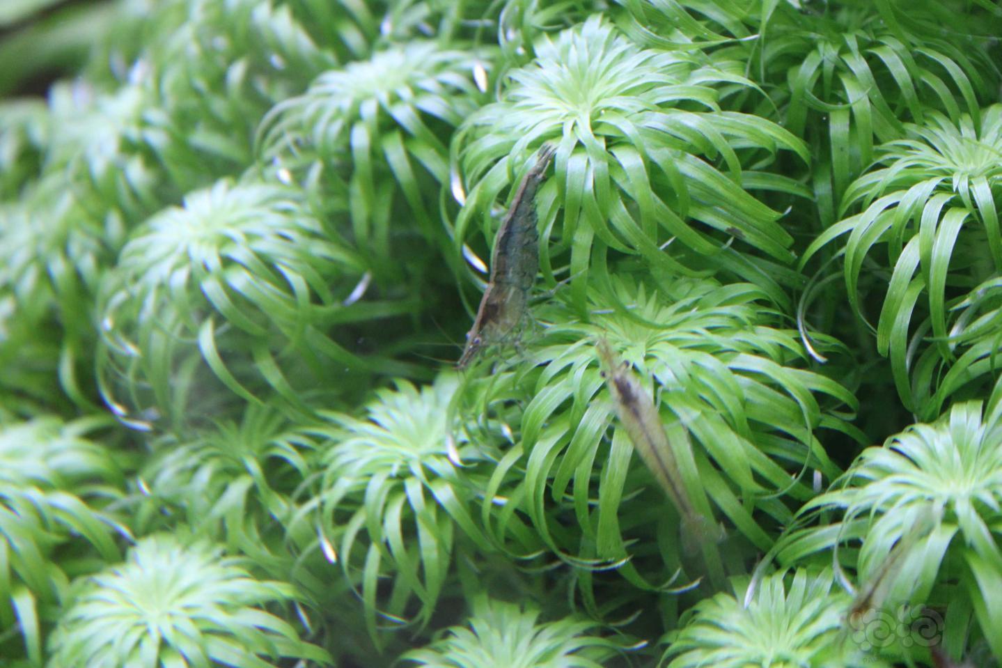 看看鱼和草放松一下