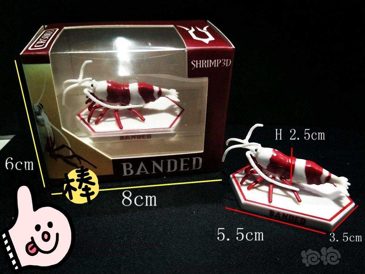 【用品】2019-5-17#RMB拍卖观赏水晶虾(超级红)模型一个-图2