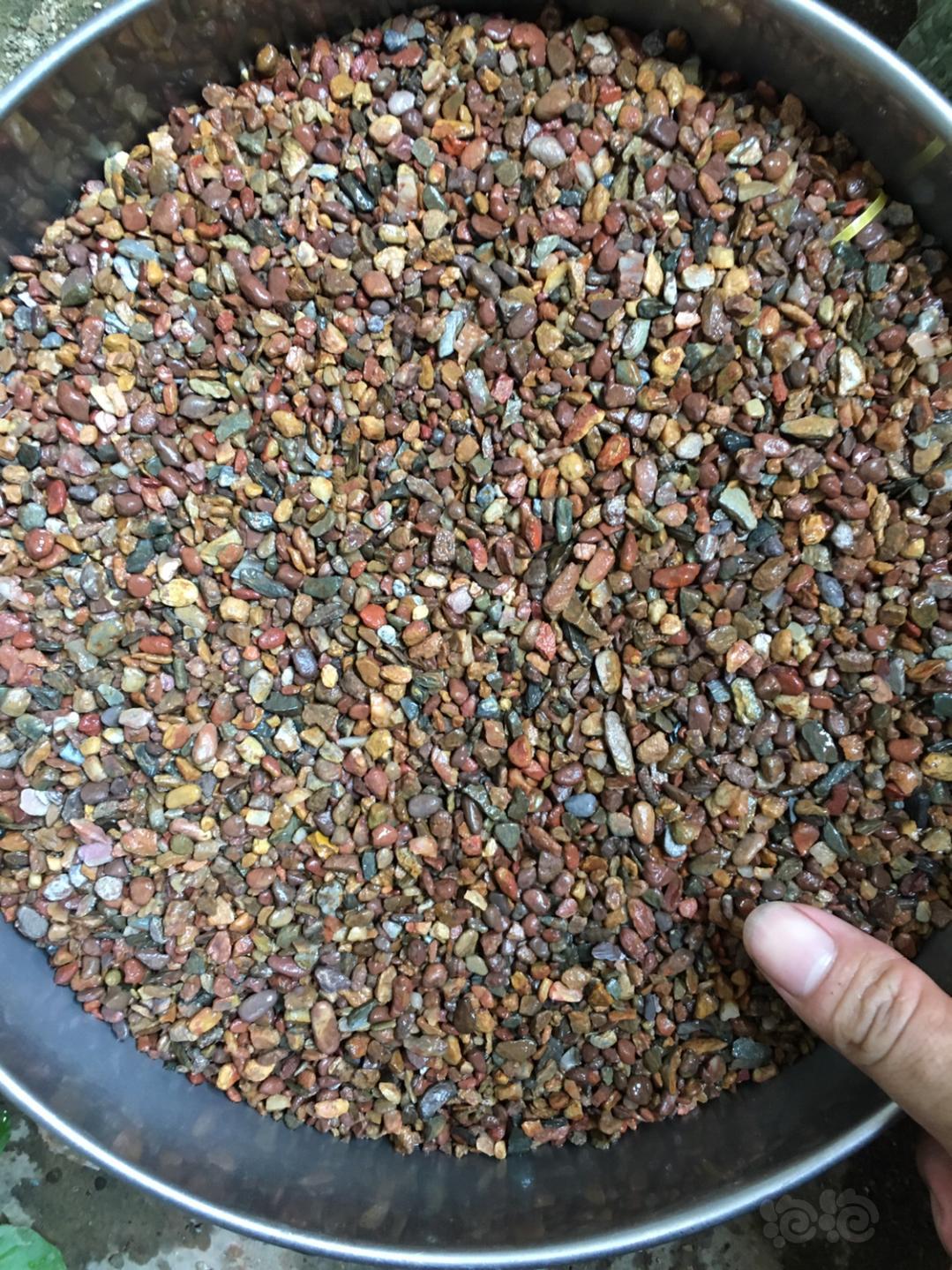 原生精品溪流沙低价促销