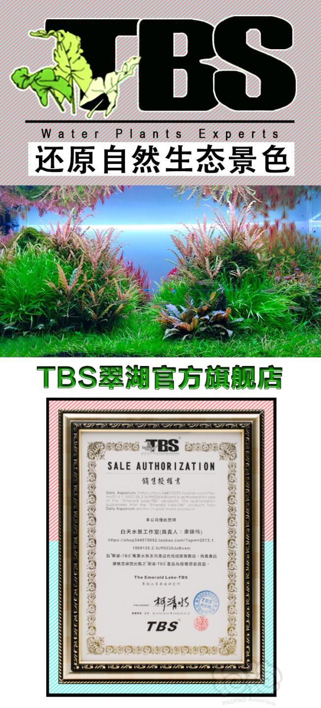 TBS翠湖——底床活化胶囊-图1