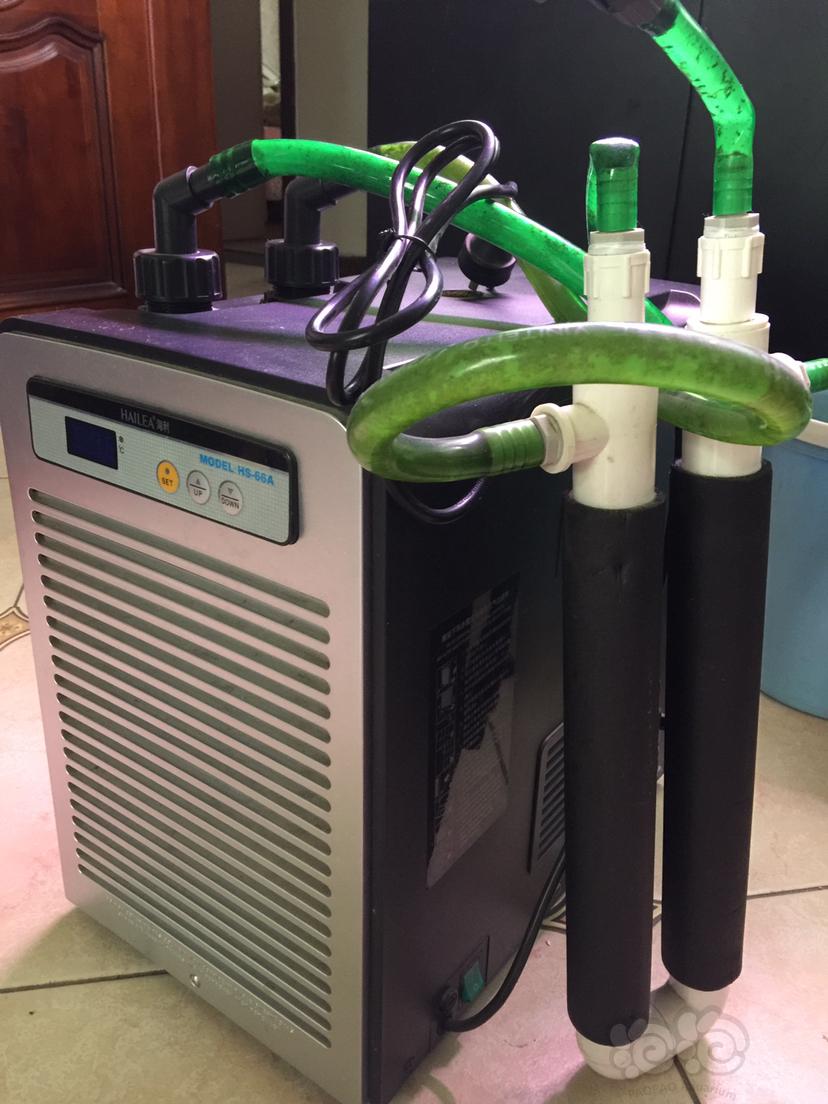 【设备】冷水机 导温器 水晶虾鱼缸降温设备-图1