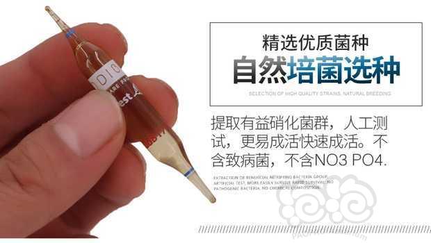 【用品】2019-07-30#RMB拍卖科迪活性硝化细菌1盒-图1
