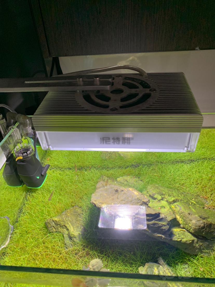 尼特利灯加白兰钢瓶