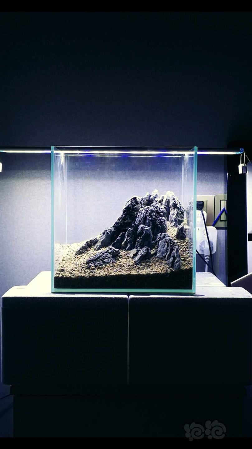 青龙石骨架造景