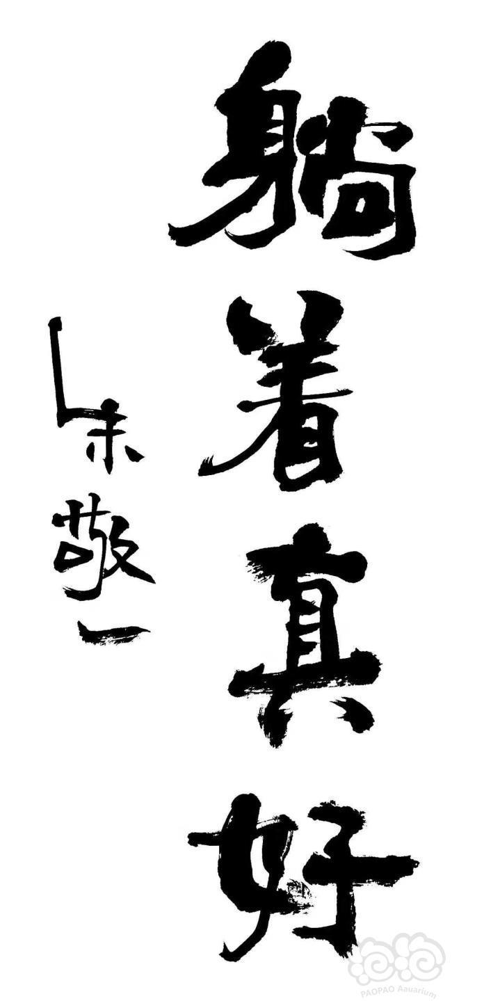 真羡慕上班的人