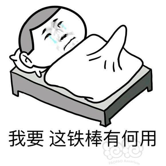 弱弱地问一下,15l左右35的缸用at3.