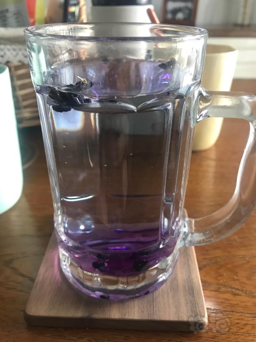 泡杯毒药,喝了提个神!-图1