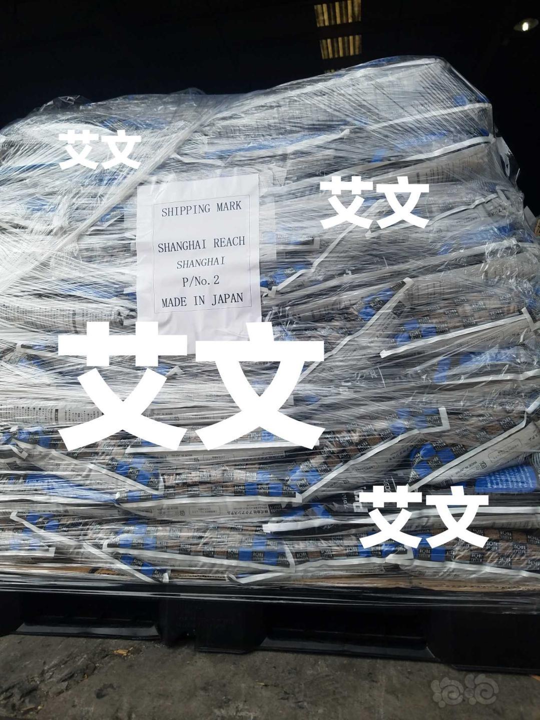 【用品】2019-07-05#RMB拍卖日本pro7.2苏虾泥8kg一份-图4