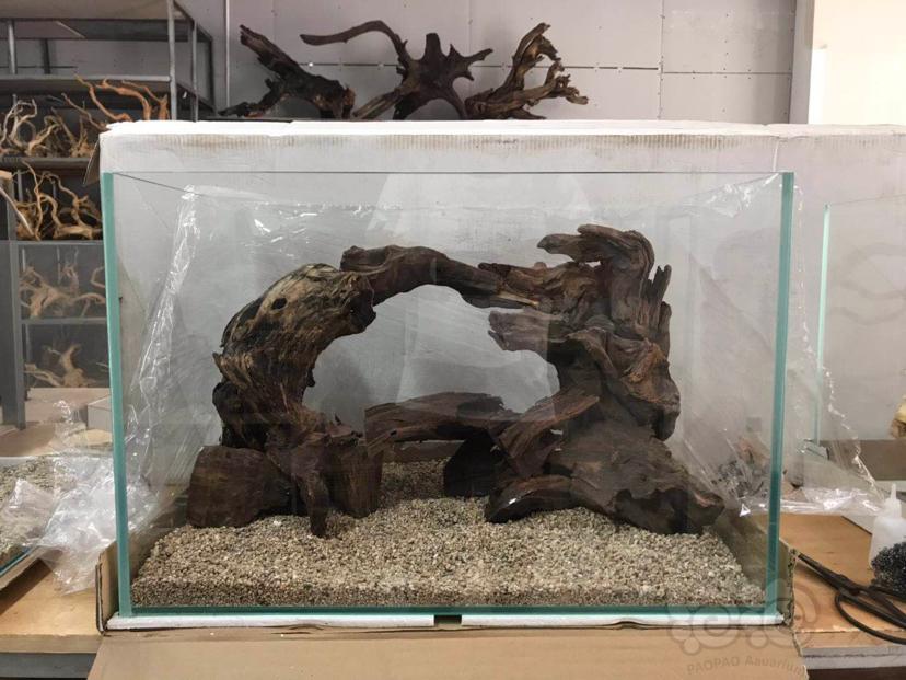60缸 沉木景