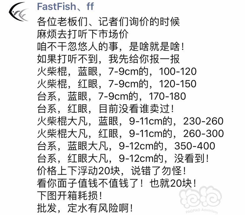 【热带鱼】长期出售批发定水台系24K/蓝眼胡子大帆及苗子！-图4