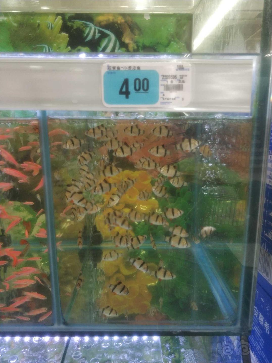 【其它】今天在超市看到这些鱼值得购买吗？-图3