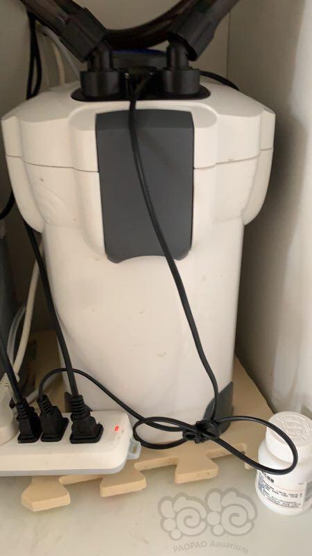 【设备】出尼特利at2 50w 森森302过滤桶带白兰外置细化器!