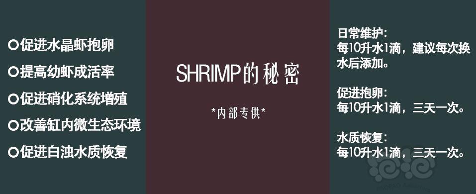 关于酷幼虾粮和SHRIMP秘密的用法说明-图2