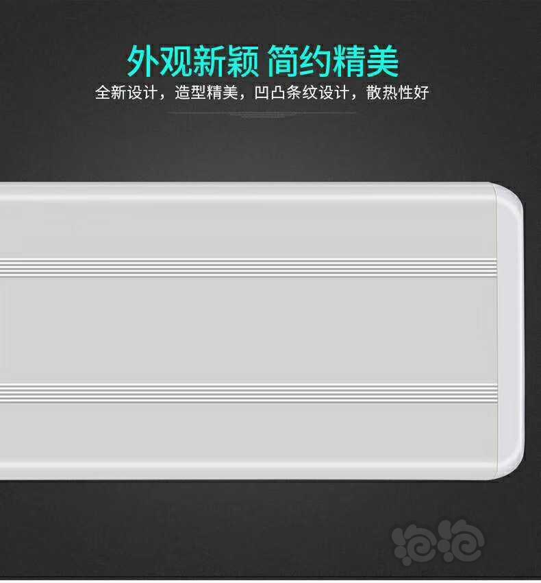 2019-8-8#RMB拍卖led水草灯60厘米1个-图3