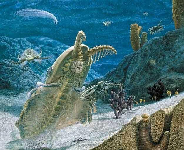奇虾史前第一巨虾，称霸整个海域千万年-图1