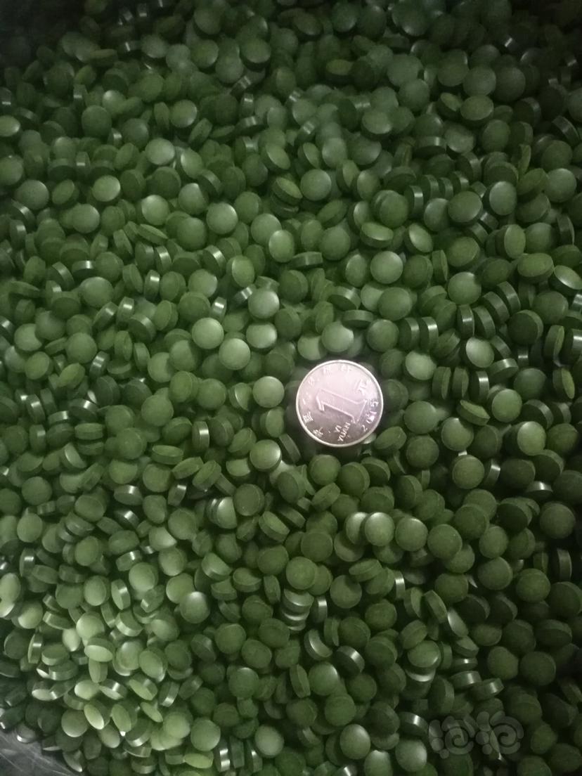 小球藻！小球藻！全网最低工厂批发的小球藻！月底了，把次数用完它！-图1