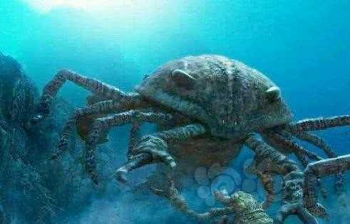 奇虾史前第一巨虾，称霸整个海域千万年-图5