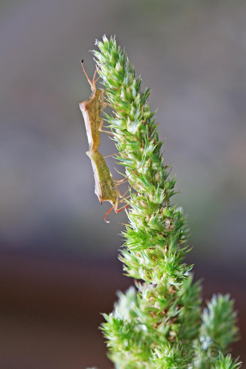 值不值时间是最好的证明