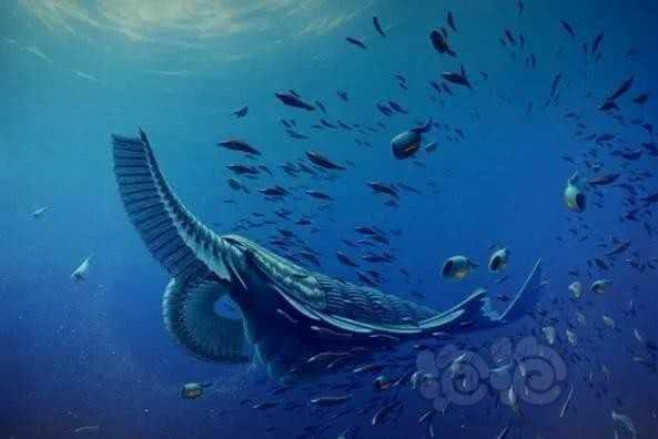 奇虾史前第一巨虾，称霸整个海域千万年-图2