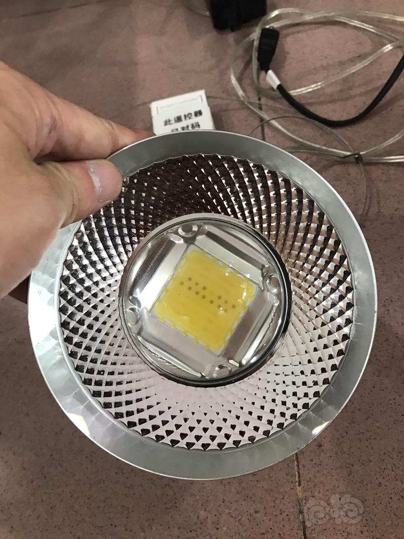 出两个尼特利at3,65-图2