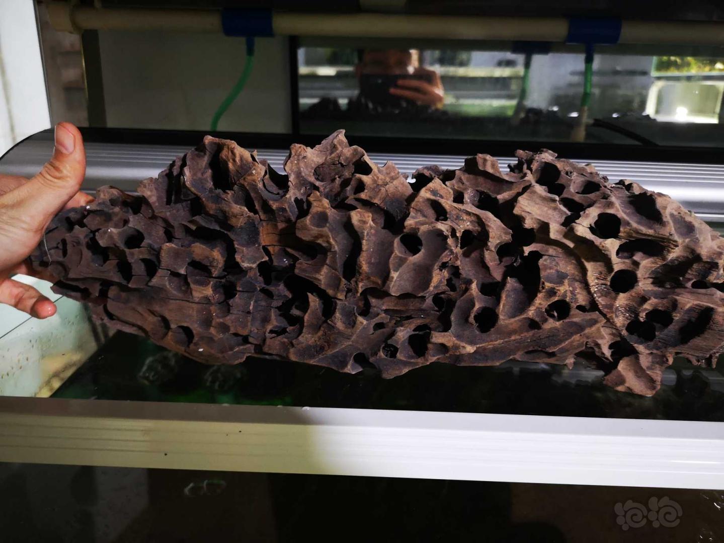 还是虾木好看哈!