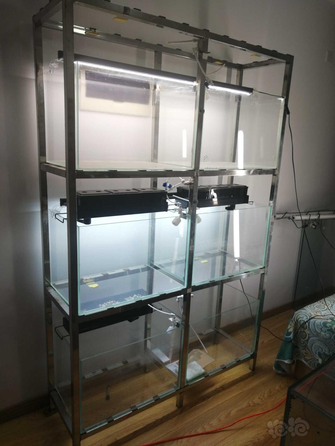 热带鱼出售鱼缸组缸超白