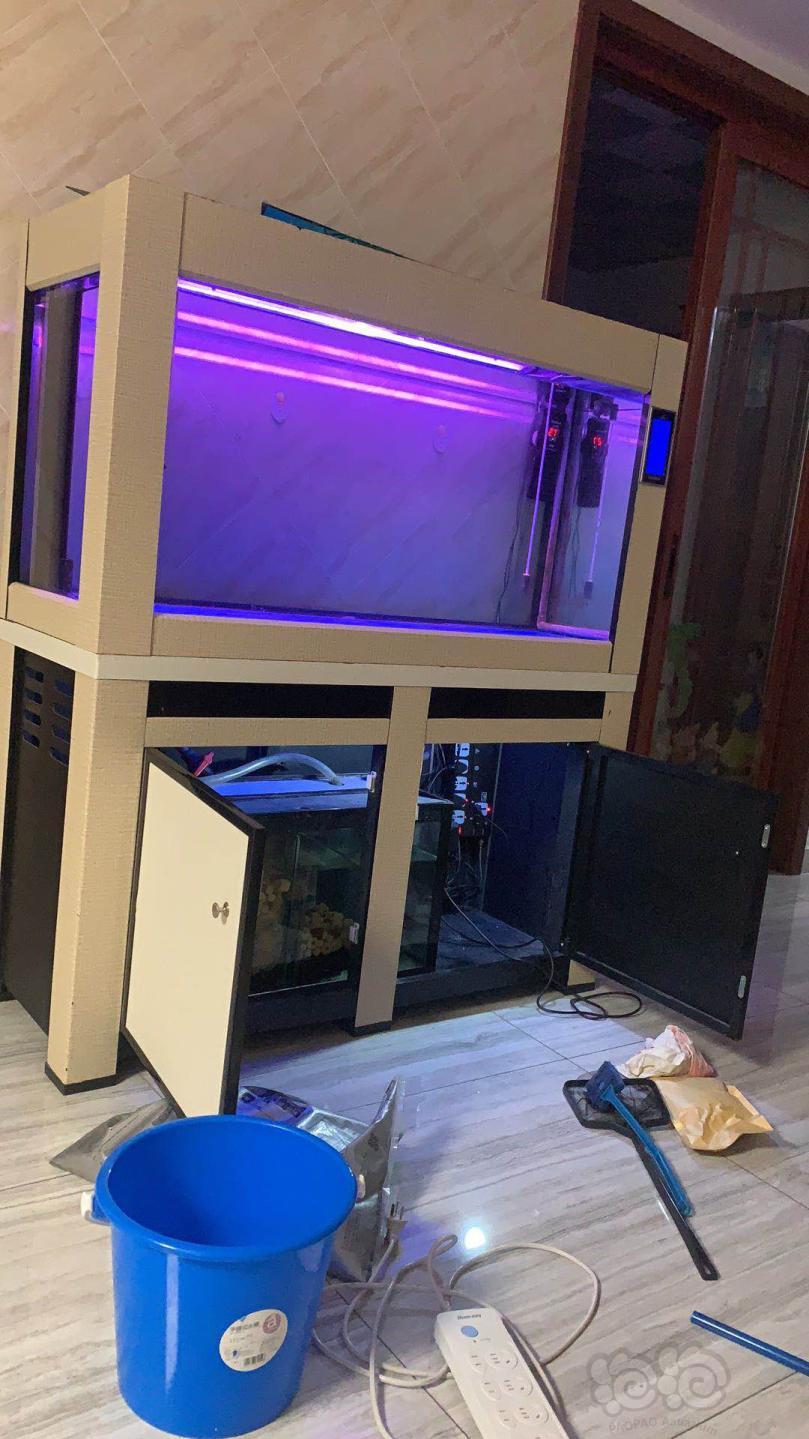 底滤缸换草缸缸己到位