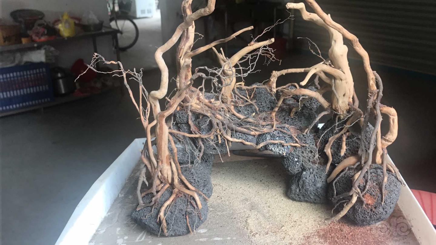 火山石杜鹃根造景