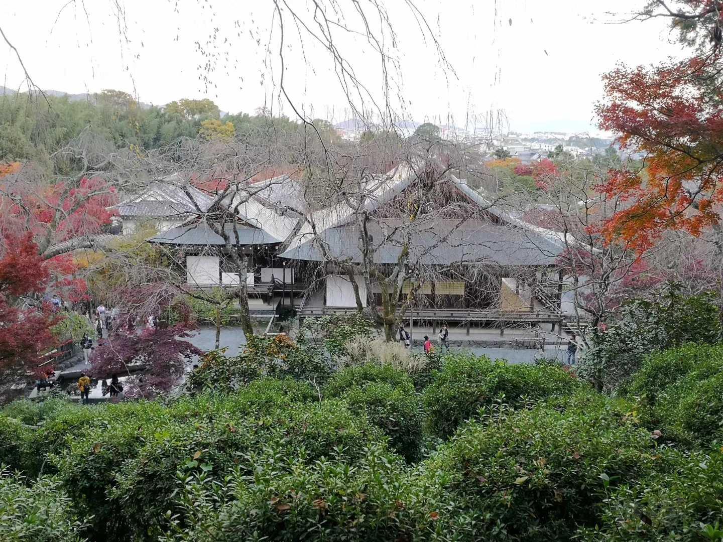 京都天龙寺🍁-图1