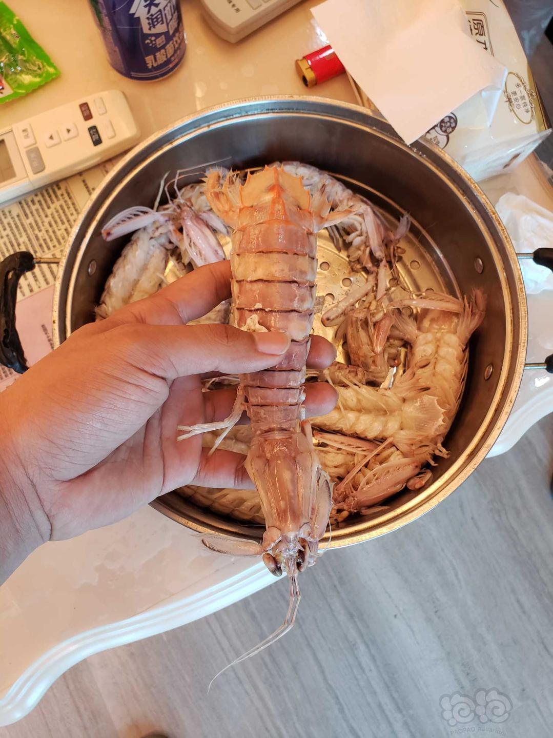 小时候最喜欢的皮皮虾