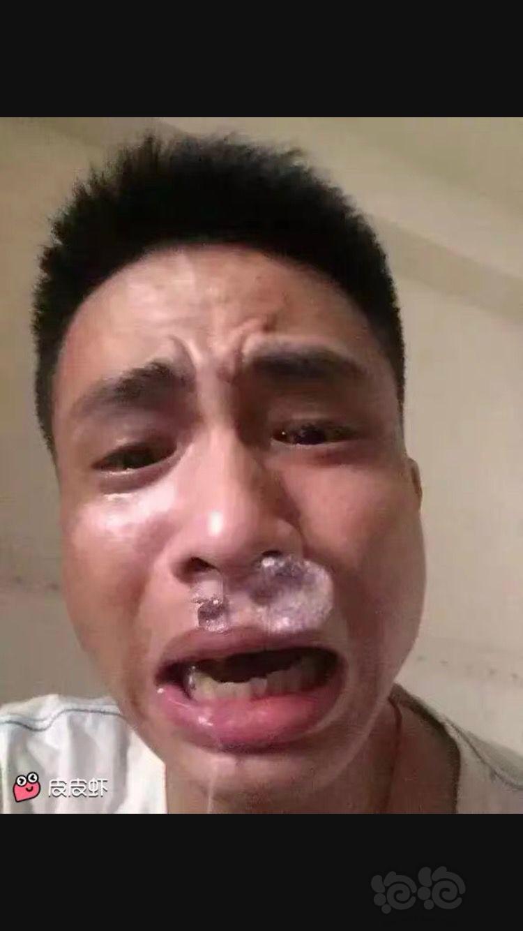 看完这个帖子笑喷了2324