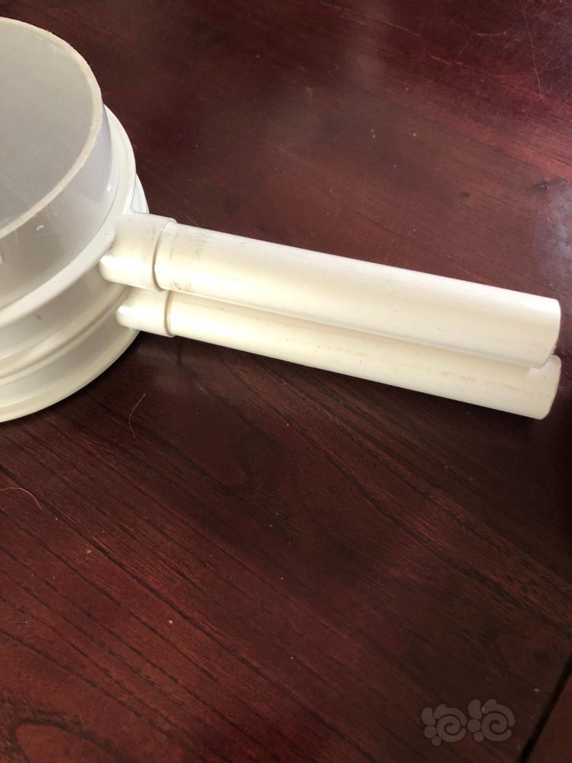 丰年虾孵化分离器diy手工款